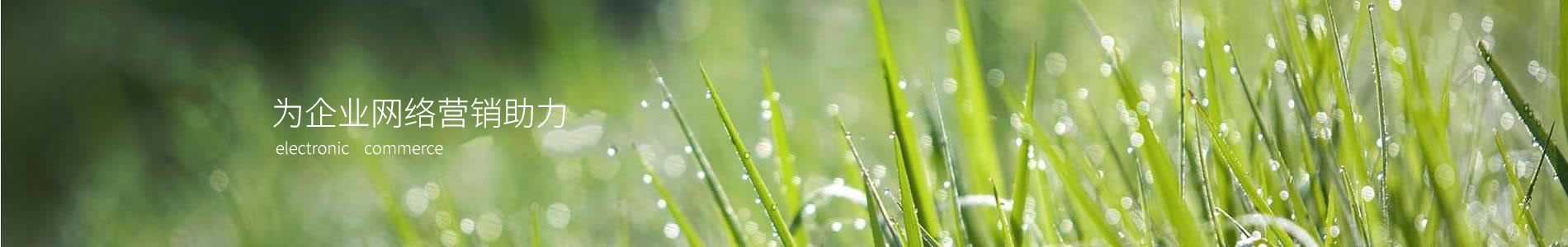 ݺܵװ޹˾